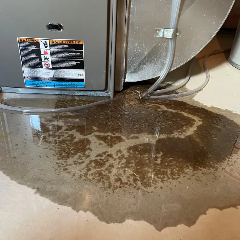 Appliance Leak Cleanup in Attalla, AL